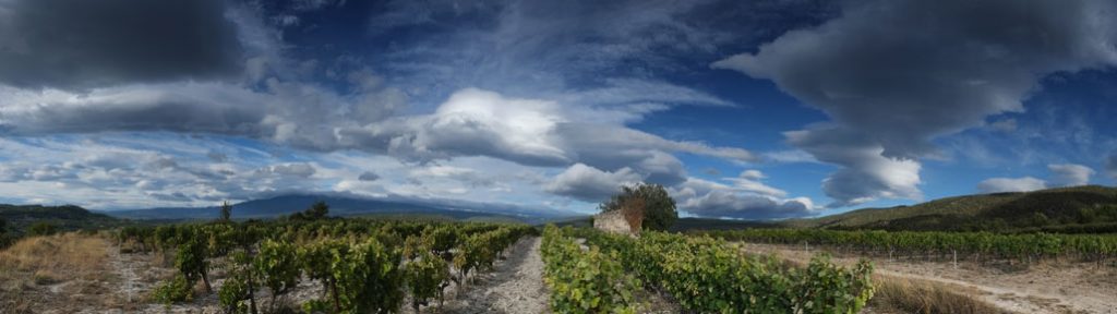 Créer un panorama avec une tête panoramique