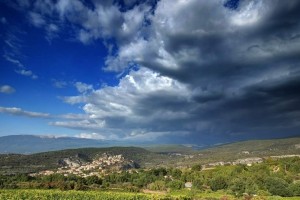 Vigne AOC du Ventoux 