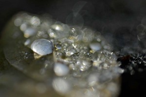 Rosée et gouttes d'eau en proxiphoto