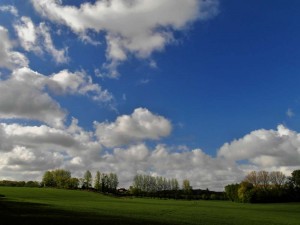 Campagne Nivelles