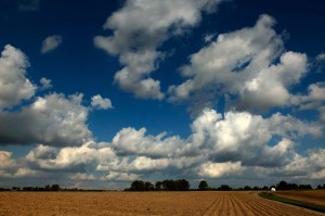 Campagne Nivelles