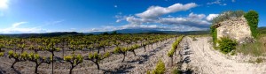 Panorama Vignoble