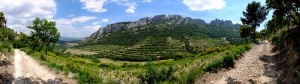 Panorama Vignoble