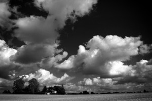 Paysage de campagne en noir et blanc