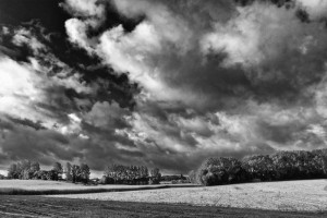 Paysage de campagne en noir et blanc