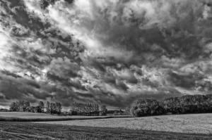Paysage de campagne en noir et blanc