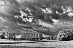 Paysage de campagne en noir et blanc