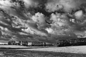 Paysage de campagne en noir et blanc