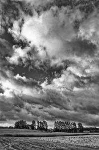 Paysage de campagne en noir et blanc