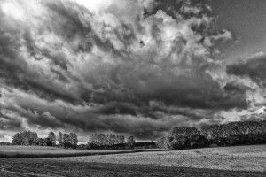 Paysage de campagne en noir et blanc