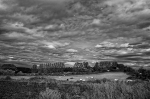 Paysage de campagne en noir et blanc
