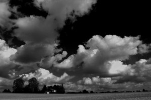 Paysage de campagne en noir et blanc