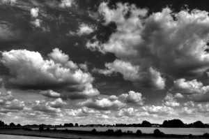 Paysage de campagne en noir et blanc