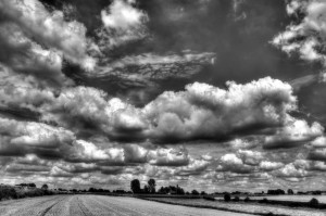 Paysage de campagne en noir et blanc
