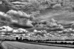 Paysage de campagne en noir et blanc