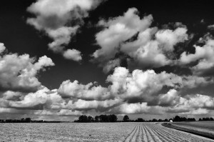 Paysage de campagne en noir et blanc