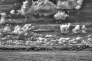 Paysage de campagne en noir et blanc
