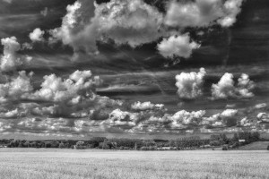 Paysage de campagne en noir et blanc