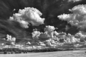 Paysage de campagne en noir et blanc