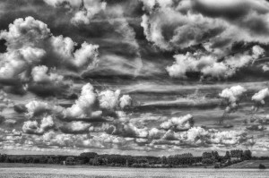 Paysage de campagne en noir et blanc