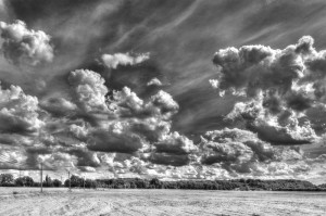 Paysage de campagne en noir et blanc