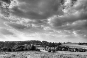 Paysage de campagne en noir et blanc