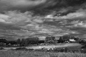 Paysage de campagne en noir et blanc