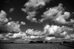 Paysage de campagne en noir et blanc