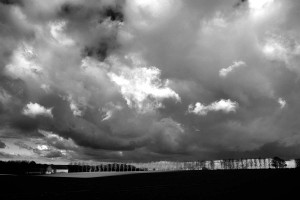 Paysage de campagne en noir et blanc