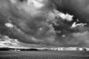Paysage de campagne en noir et blanc