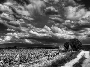 Paysages de Provence en noir et blanc