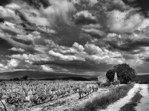 Paysages de Provence en noir et blanc