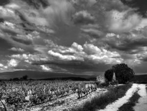 Paysages de Provence en noir et blanc