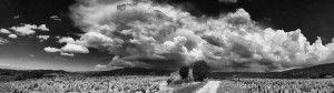 Paysages de Provence en noir et blanc