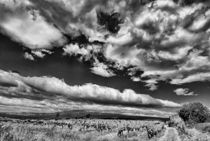 Paysages de Provence en noir et blanc