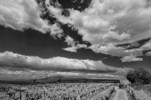 Paysages de Provence en noir et blanc