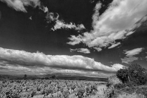 Paysages de Provence en noir et blanc