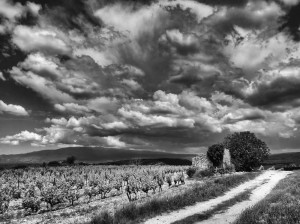 Paysages de Provence en noir et blanc