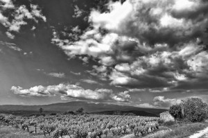 Paysages de Provence en noir et blanc