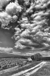 Paysages de Provence en noir et blanc