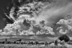 Paysages de Provence en noir et blanc