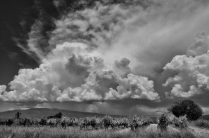 Paysages de Provence en noir et blanc