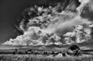 Paysages de Provence en noir et blanc