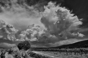 Paysages de Provence en noir et blanc