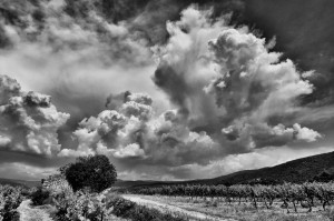 Paysages de Provence en noir et blanc