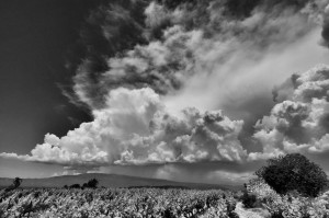 Paysages de Provence en noir et blanc