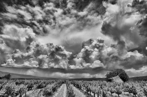 Paysages de Provence en noir et blanc