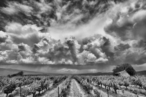 Paysages de Provence en noir et blanc