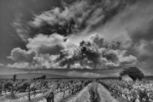 Paysages de Provence en noir et blanc