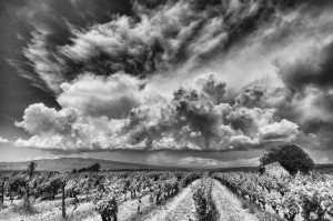 Paysages de Provence en noir et blanc